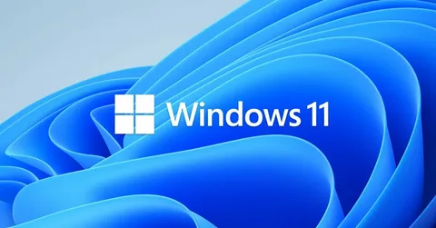 Windows 11